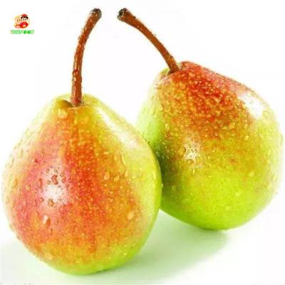 China Fresh Pears from New Corp. fresh sweet pear fruit and juicy No.7 xinli pear fruit for export for sale