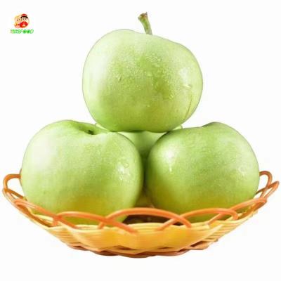 China Fresh Chinese Natural Fresh Ya Yellow Pear Delicious Golden Pear For Export for sale