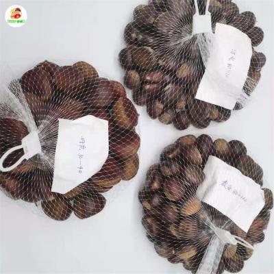 China Qingyanggu fresh raw sweet fresh chestnuts chinese chestnut hot sale chinese chestnut for sale