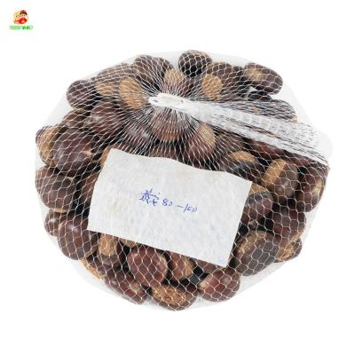 China Chinese Organic Peeled Roasted Chestnuts New Fresh Fresh Cultivation Healthy Organic Raw Chestnuts for sale