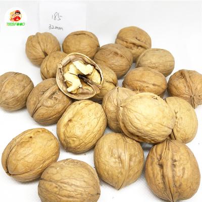 China New dry culture 185 walnuts without shell walnuts in shell with low price for sale