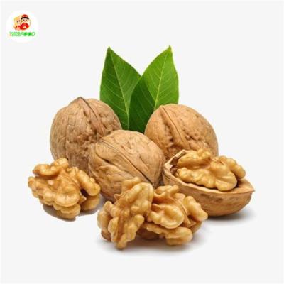 China Dry Good Quality Walnut Jeonggwa Walnut Buyers Ukraine Walnuts For Export for sale