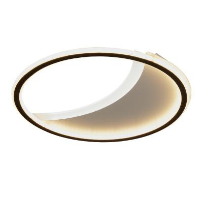 China New 2022 Modern Minimalist Warm Single Ceiling Lamp For Painting Aluminum Process Material Light Guide Sheet Acrylic Frosted Trichromatic Dimming for sale