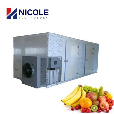 China Intelligent Hot Air Commercial Fruit Drying Machine Multifunctional PLC Control for sale