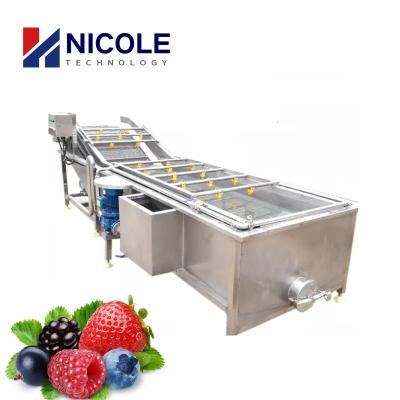 China SUS 304 Bubble Fruit Vegetable Cleaning Machine Multifunctional CE Approved for sale