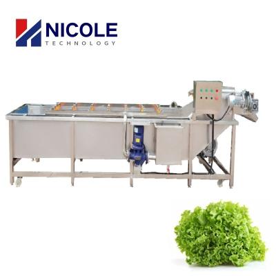 China Multifunctional Fruit Vegetable Washing Machine Automatic Belt Conveyor for sale