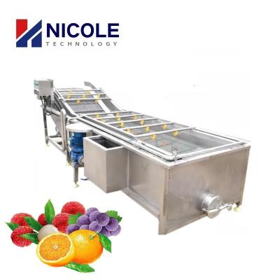 China SUS 304 Electric Vegetable And Fruit Cleaner Machine Commercial Belt Type for sale