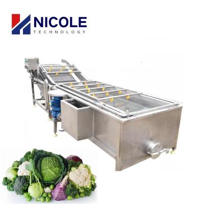 China 220V 380V Fruit Vegetable Cleaning Machine Electric Air Bubble Washing Machine for sale