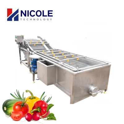 China SS Automatic Fruit Vegetable Cleaning Machine Air Bubble 220V 415V 440V for sale