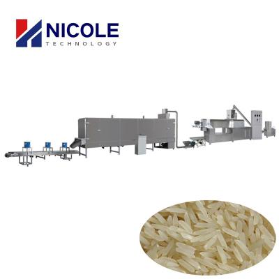 China Double Screw Artificial Rice Production Line , 200 - 300kg/H Frk Rice Machine for sale