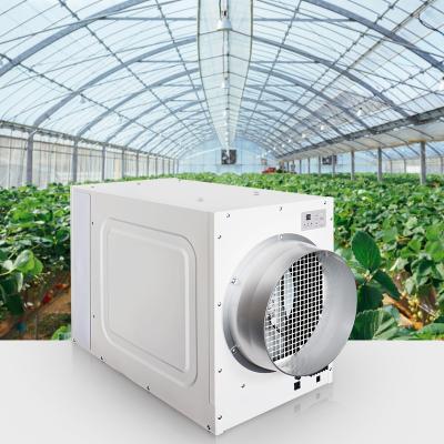 China American 130 PPD House Dehumidifier Hotels Basement Whole Cabinet Commercial Greenhouse Dehumidifier for sale