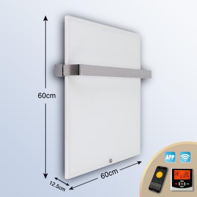 China Economical Efficient Car Panel Heater Frameless Towel Rack For Bathroom for sale