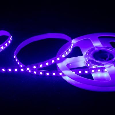 China Theme Park China Supplier DC12V 24V 120LED IP20 SMD2835 Waterproof White Light Blue LED Strip for sale