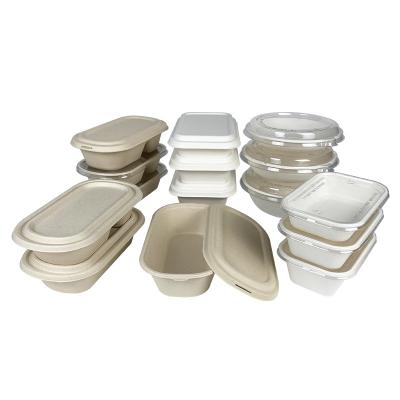 China 1000ml Disposable Sugarcane Bagasse With Lid Bio Degradable Takeout Tray Bento Box Sugarcane Bagasse Food Container 2 Compartment for sale