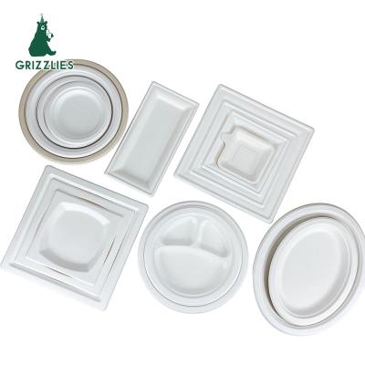 China Disposable Customize Plato Placa Desechable Sugar Cane Compostable Biodegradable Bagasse Party Disposable Dinner Round Dish Plate for sale