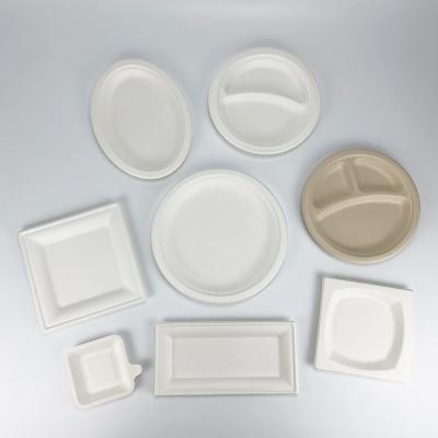 China Disposable Disposable Compostable Dishes Plates Oval Sugar Cane De Azucar Bagasse Sugarcane Pulp Dish for sale