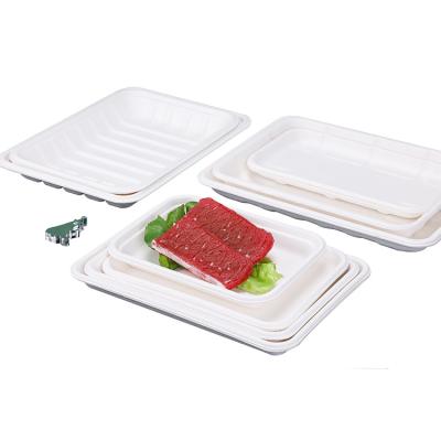 China Biodegradable Disposable Disposable Food Tray Compartments Take Away Traveling Sugarcane Pulp Dining Food Bagasse Pulp Tray for sale