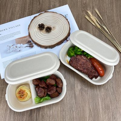 China Environmentally Friendly Biodegradables Descartables Compostable Take Out Containers Disposable Packaging Box Bagasse Food Container With Lid for sale