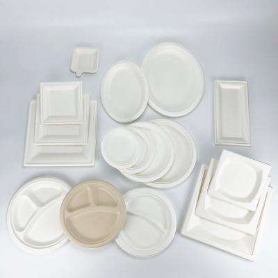 China Disposable Sugar Cane Dishes De Azucar Bagasse Sugarcane Pulp 10 Inch Disposable Oval Compostable Dishes for sale