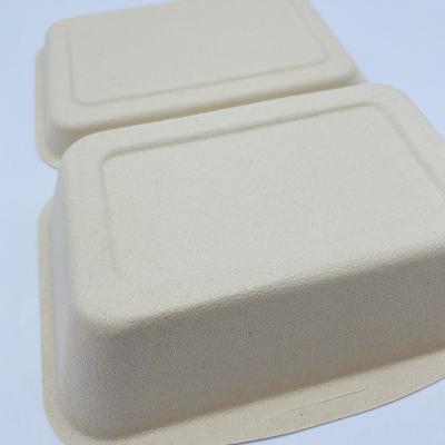 China Minimalist disposable food containers take away biodegradable lunch box sugar cane bagasse for sale