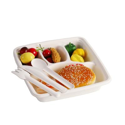 China Disposable Biodegradable Compartment Meal Food Lunch Tray with 3/4 Compartment for sale