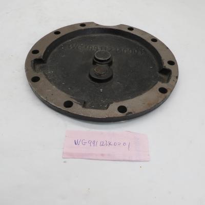 China Brand New Radiator Rim cover WG99112340001 for sale