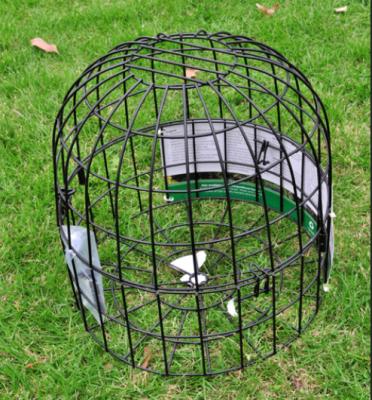 China Black Powder Coated Bird Feeder Accessories Big Ground Cage Metal 1mm Wire for sale