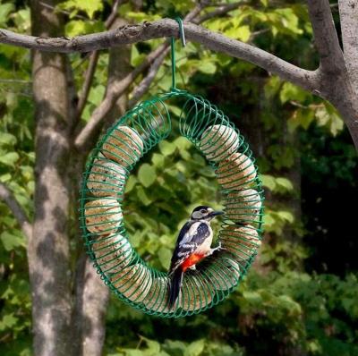 China El alimentador gordo del pájaro de la bola de la primavera de los SS/descascó el polvo azul del alimentador del pájaro del cacahuete cubierto en venta