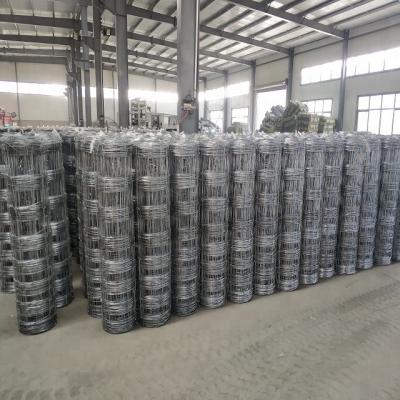 China Fence Mesh Customize Galvanized Plain Span Wire Mesh Fence And Port For Farm for sale