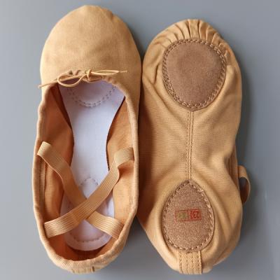 China Canvas Flowering 11010 Mens Womens Girls Classic Canvas Ballet Dance Basic Shoes for sale