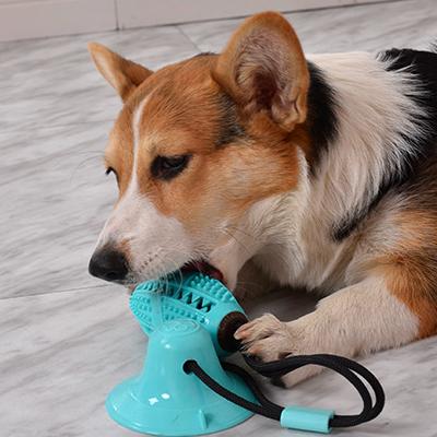 China Viable Amazon Vendor Pet Hot Treat Food Training Chewer Dispensing Toy For Gift for sale