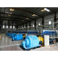 China 60MW Genset Power Plant for sale