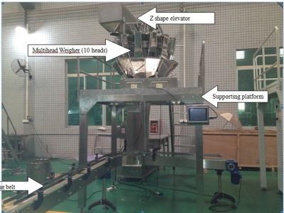 China Carton Packing Machine with Multihead Weigher for sale