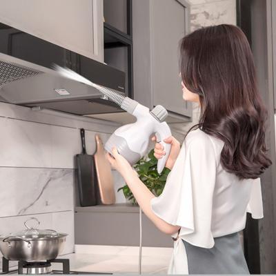 China Hot Sale 1000W Dry Car Home Steam Cleaner for sale