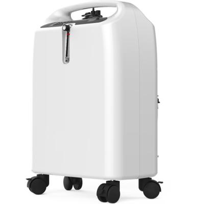 China Hot Selling New Design Portable Acrylic 5l Oxygen Concentrator in Foshan with CE FSC ISO13485 ISO9001 for sale