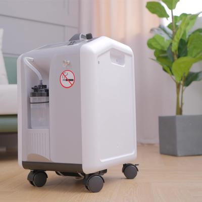 China Produce Emergency Medical Oxygen Training Supplies And Medical Grade Large 10L Purity In Stock Oxygen Concentrator For Sale for sale