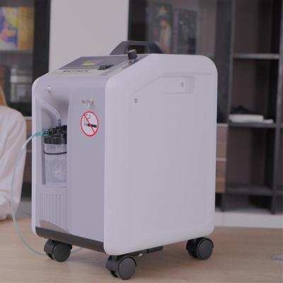 China High Selling 10l Medical Acrylic Medical Supplies Top Flow Oxygen Concentrator for sale