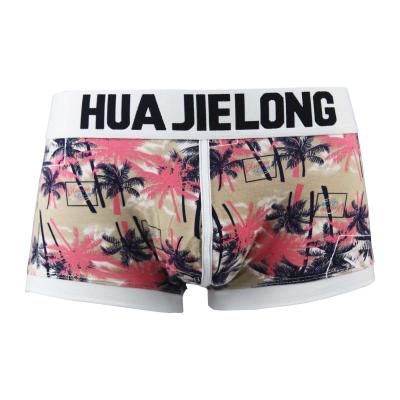 China Cotton Men's Boxers Underwear, Printed Double Pouch Trunks Underwear 4cm Waistband With Logo Boxer Briefs for sale