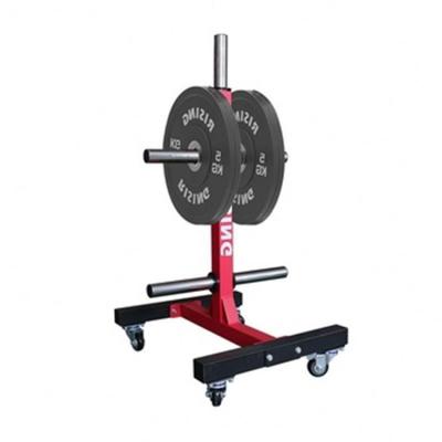 China Modern Exercise Equipment Gym Dumbell Wall Mount Power Pulley Squat Rack for sale