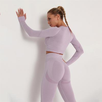 China 2021 Top Selling Women's Seamless Active Fitness Sports Yoga Wear Suits Breast Pad Elegant Women Fitness Shirt Clothes Slim Yoga Sets for sale