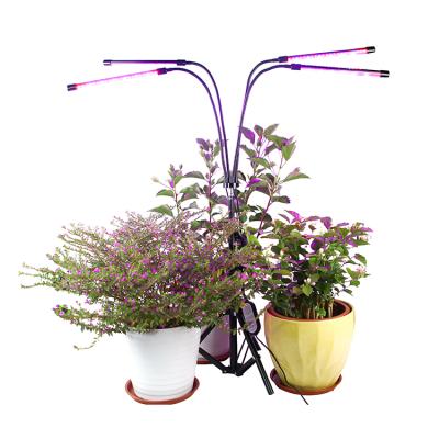 China Seed Starting Dimming Urban Smd 2Ft 3Ft 4Ft Foldable Optical Rack Farm High Efficiency Rohs Grow Light for sale