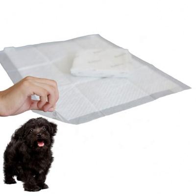 China Viable China Pets Products Reticulated Outdoor Rectangle Adhesive Sticker Pet Pee Training Pad for sale