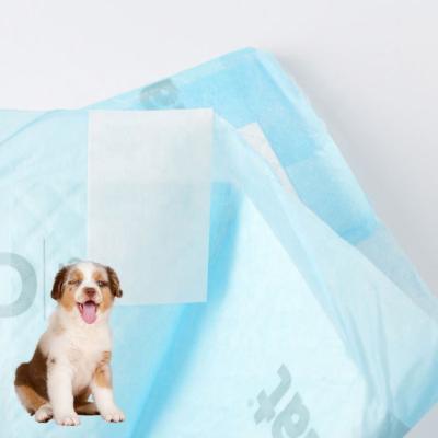 China High Sustainably Absorbent Disposable Puppy And Dog Training Pad Pet Training Products Type Pee Pads for sale