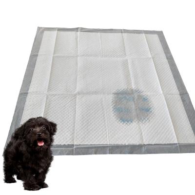 China Viable Wet Indicator Puppy Training Training Pads Wee Wee Wc Small Toilet Wee Pads Puppy Wet Pads for sale