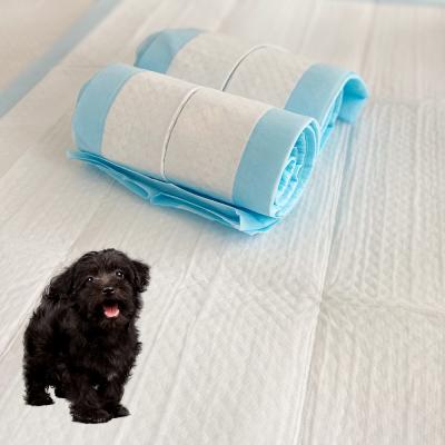 China New Type Viable High Quality Indoor Disposable Dog Sleeping Film Puppy Training Absorbent Porous Pads for sale