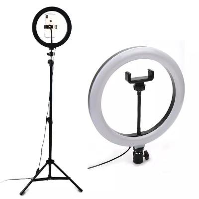 China 6 8 10 12 14 HANDHELD Selfie Ring Light LED Ring Light Tripod Stand Photographic 18 inch for sale