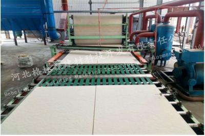 China High Strength Mineral Fiber Ceiling Board Production Line ISO CE Certification for sale