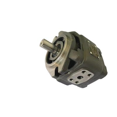 China High Quality Industrial Utilities Industrial Newcomer Replace Rexroth Hydraulic Internal Gear Pump for sale