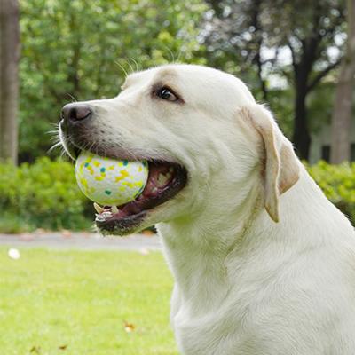 China Interactive Pet Dog Toys Pet Chew Toy Ball Bite Resistant Dog Teeth Grinding Foam Training Puzzle Ball Durable High Elastic Solid for sale