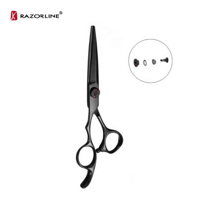 China Razorline CK72BL Left Handed Scissors Professional Hair Titanium Coating Scissors Stainless Steel Barber Scissors Left Hand for sale